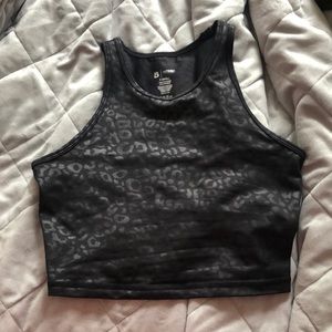 Buffbunny aurora v2 crop